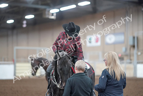 2019 Morgan Horse Show - Aug 31, 2019 - 10807