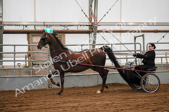 July 19, 2019 - 7038