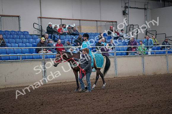 2019 Morgan Horse Show - Aug 31, 2019 - 09936