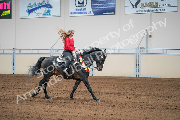 2020 - AB Morgan Horse - Sat, Sept 05 - 10555
