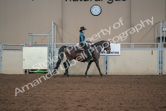 2019 Morgan Horse Show - Aug 30, 2019 - 26128