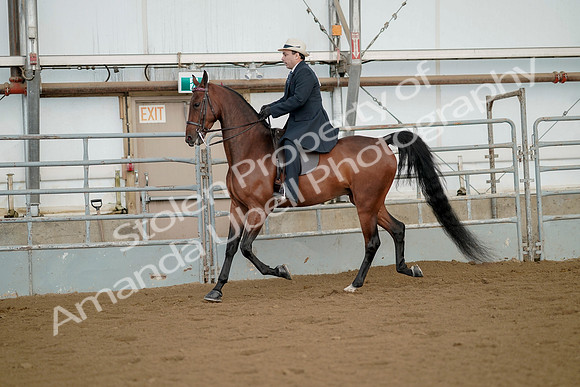 July 21, 2019 - 01567