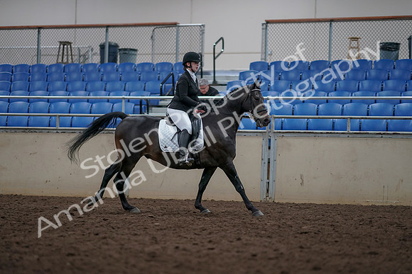 2019 Morgan Horse Show - Aug 31, 2019 - 16754