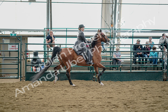 July 21, 2019 - 01850