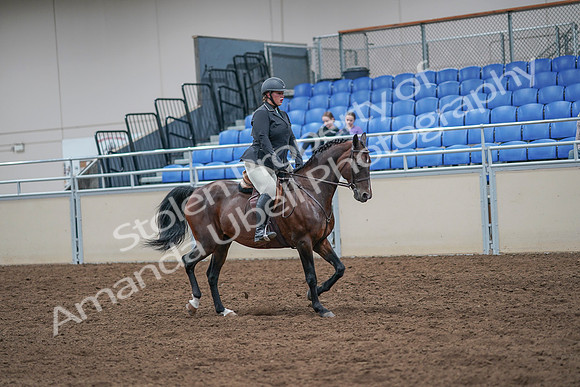 2020 - AB Morgan Horse - Sat, Sept 05 - 09353