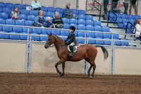 2020 - AB Morgan Horse - Sat, Sept 05 - 10619