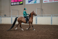 2019 Morgan Horse Show - Aug 30, 2019 - 30629