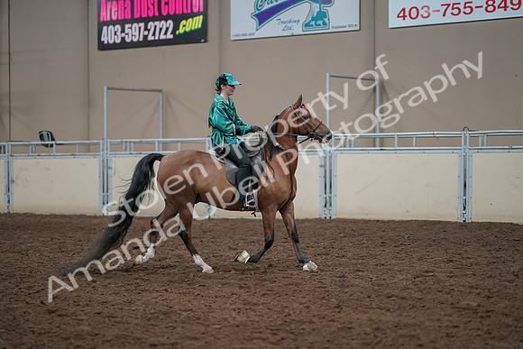 2019 Morgan Horse Show - Aug 30, 2019 - 30629