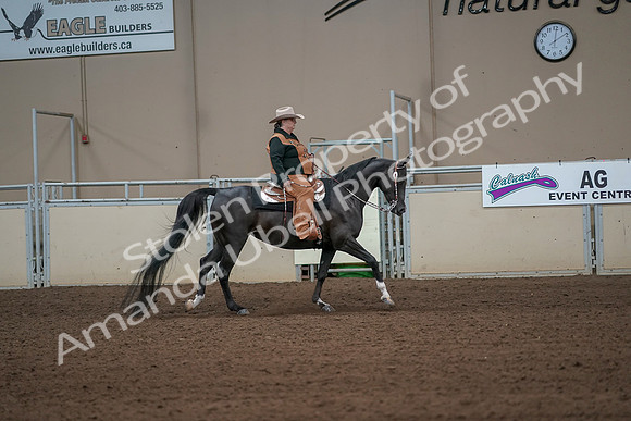 2019 Morgan Horse Show - Aug 31, 2019 - 06164