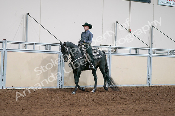 2020 - AB Morgan Horse - Fri, Sept 04 - 08514