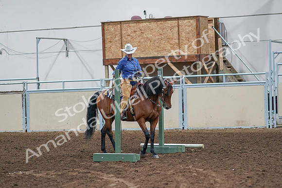 2020 - AB Morgan Horse - Fri, Sept 04 - 00125