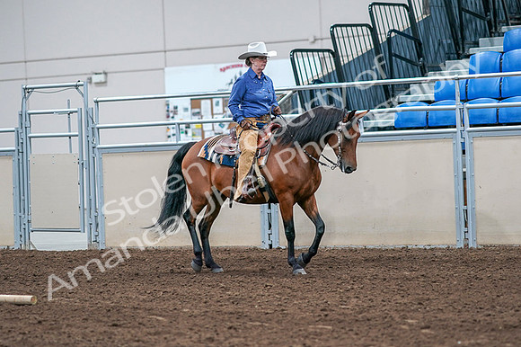 2020 - AB Morgan Horse - Fri, Sept 04 - 00196