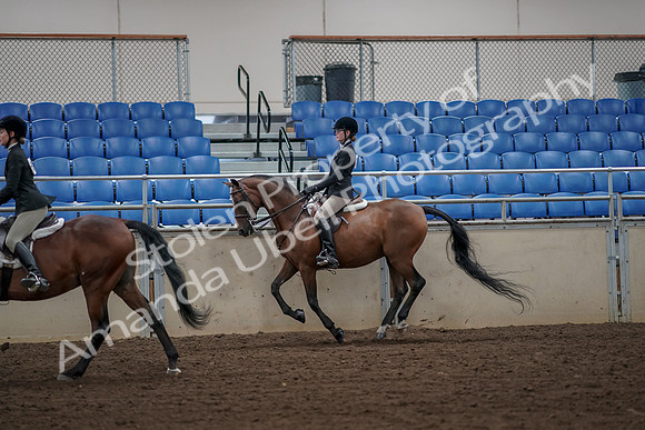 2019 Morgan Horse Show - Aug 31, 2019 - 05108