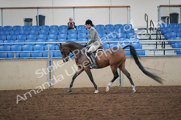 2019 Morgan Horse Show - Aug 30, 2019 - 17299