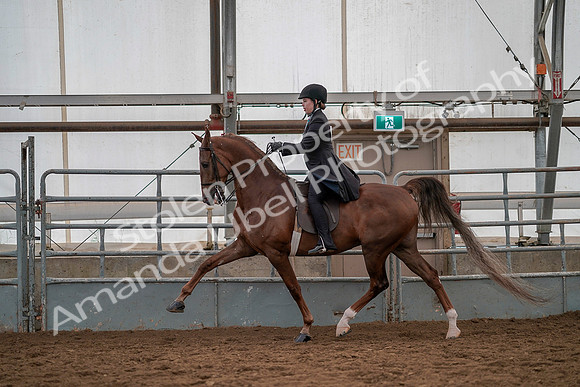 July 19, 2019 - 13185