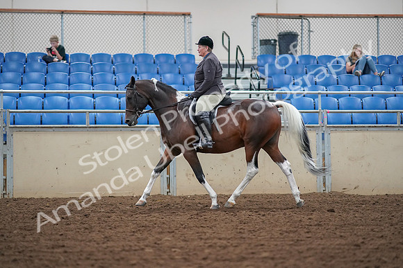 2019 Morgan Horse Show - Aug 30, 2019 - 16223