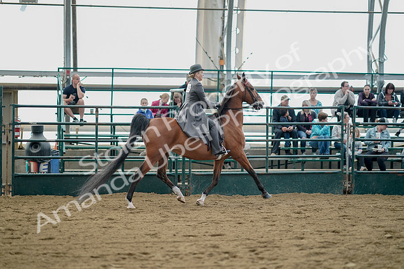 July 21, 2019 - 01854