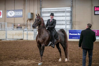 Spring Fling - Saturday - April 20, 2019  -  03635