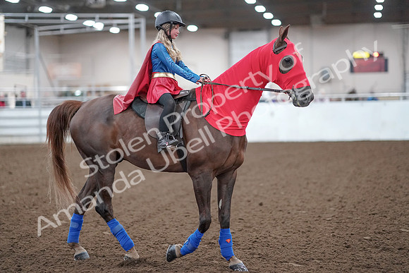2019 Morgan Horse Show - Aug 31, 2019 - 10004