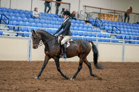 2020 - AB Morgan Horse - Sat, Sept 05 - 14210