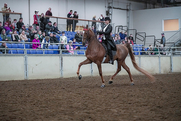 Spring Fling - Saturday - April 20, 2019  -  00422