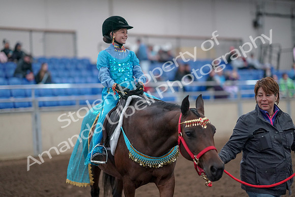 2019 Morgan Horse Show - Aug 31, 2019 - 09957