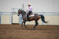 2020 - AB Morgan Horse - Sat, Sept 05 - 05661