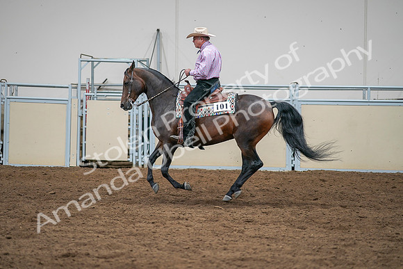 2020 - AB Morgan Horse - Sat, Sept 05 - 05661
