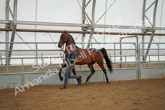 July 19, 2019 - 1242