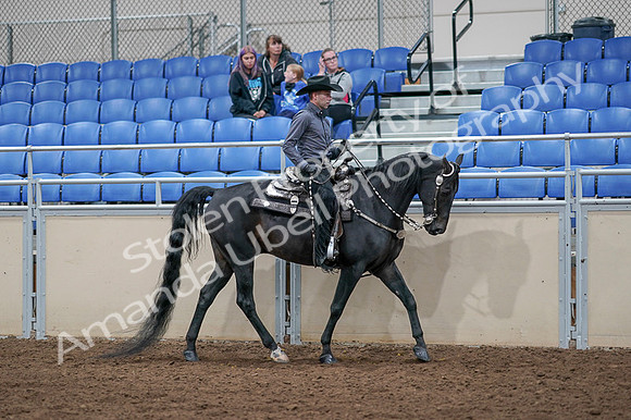 2020 - AB Morgan Horse - Fri, Sept 04 - 08476
