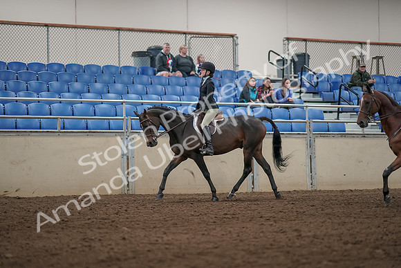 2019 Morgan Horse Show - Aug 31, 2019 - 04921