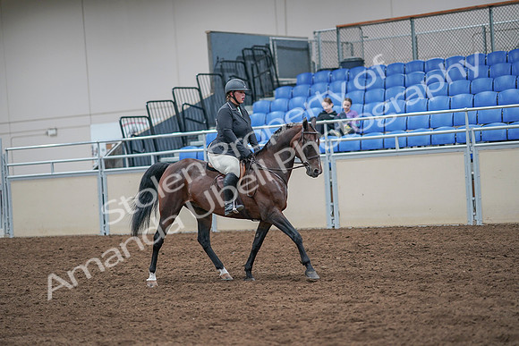 2020 - AB Morgan Horse - Sat, Sept 05 - 09350