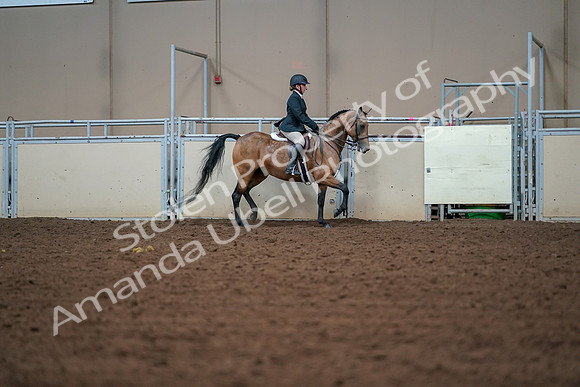 2019 Morgan Horse Show - Aug 30, 2019 - 20784