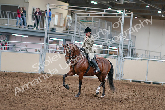 2020 - AB Morgan Horse - Sat, Sept 05 - 14345