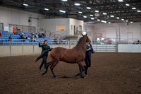 2019 Morgan Horse Show - Aug 31, 2019 - 00990