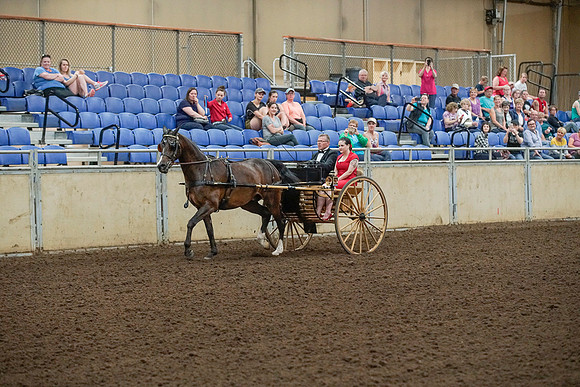 _DSC2118