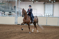 2020 - AB Morgan Horse - Sat, Sept 05 - 06039