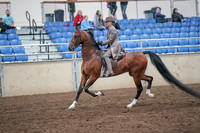 2019 Morgan Horse Show - Aug 31, 2019 - 21965