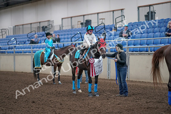 2019 Morgan Horse Show - Aug 31, 2019 - 10126