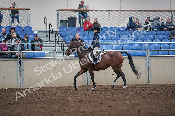 2019 Morgan Horse Show - Aug 31, 2019 - 19442