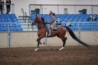 2019 Morgan Horse Show - Sept 01, 2019 - 07389