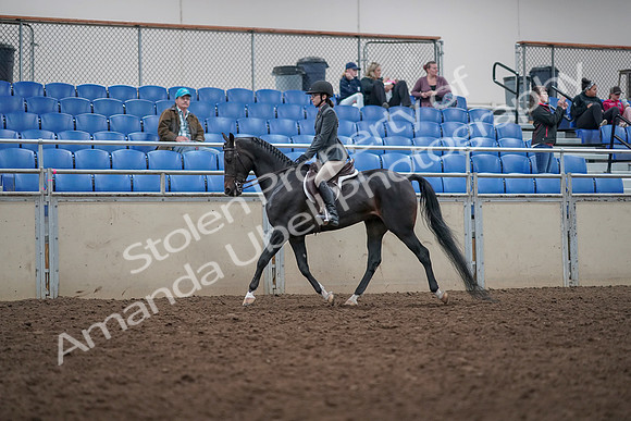 2019 Morgan Horse Show - Aug 31, 2019 - 14681
