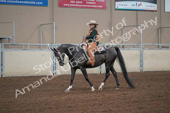 2019 Morgan Horse Show - Aug 31, 2019 - 06049