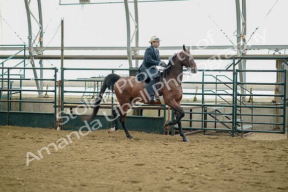 July 21, 2019 - 01717