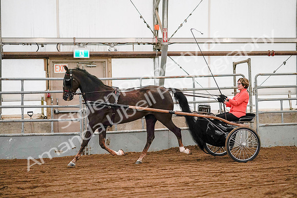 July 19, 2019 - 6982
