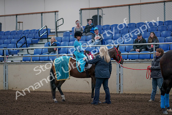 2019 Morgan Horse Show - Aug 31, 2019 - 10206