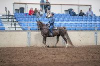 2019 Morgan Horse Show - Aug 31, 2019 - 21382