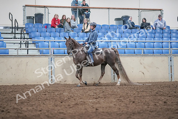 2019 Morgan Horse Show - Aug 31, 2019 - 21382