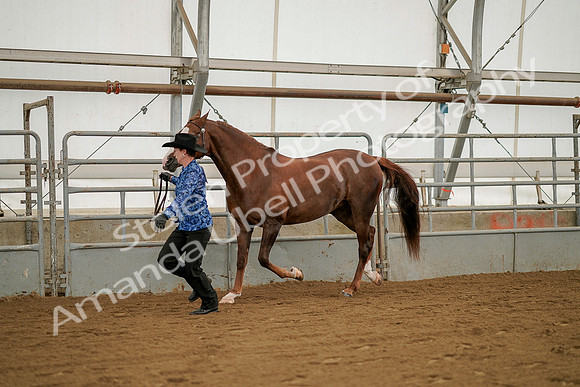 July 19, 2019 - 1272