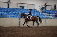 2019 Morgan Horse Show - Aug 31, 2019 - 05554